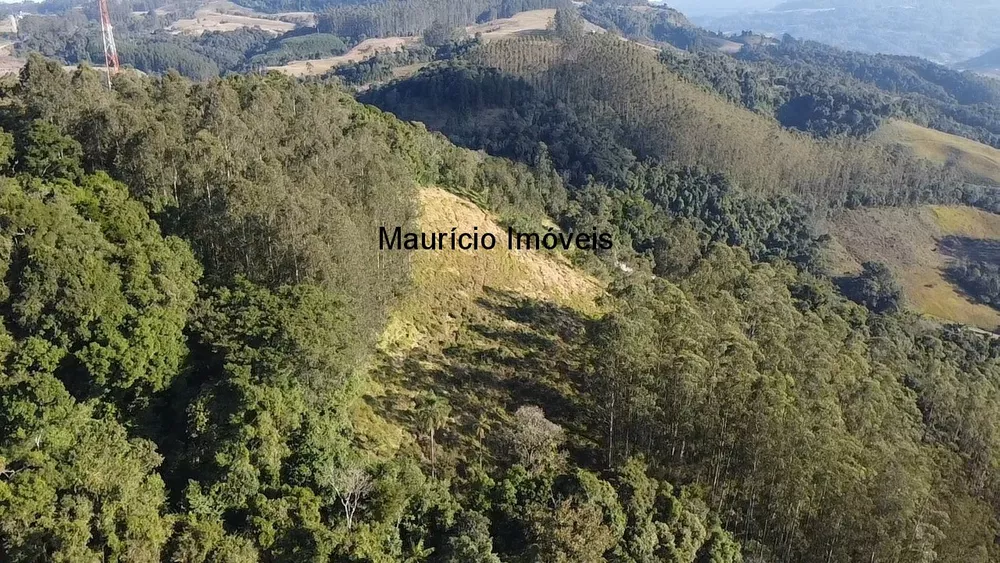 Sítio, 3 quartos, 3 m² - Foto 1