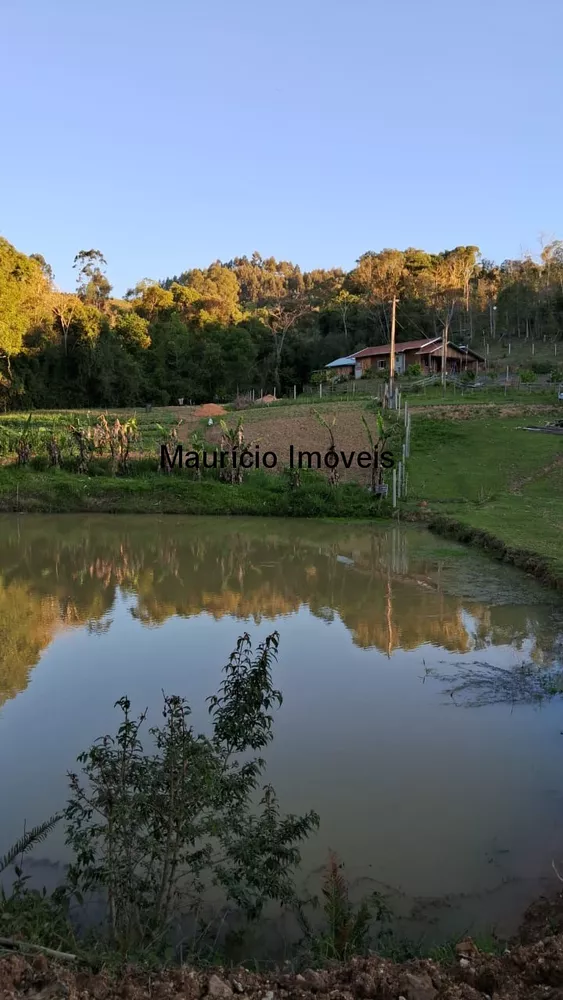 Sítio, 3 quartos, 3 hectares - Foto 2