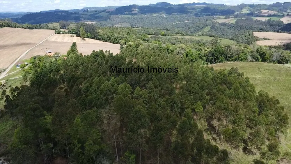 Sítio, 2 quartos, 8 hectares - Foto 6
