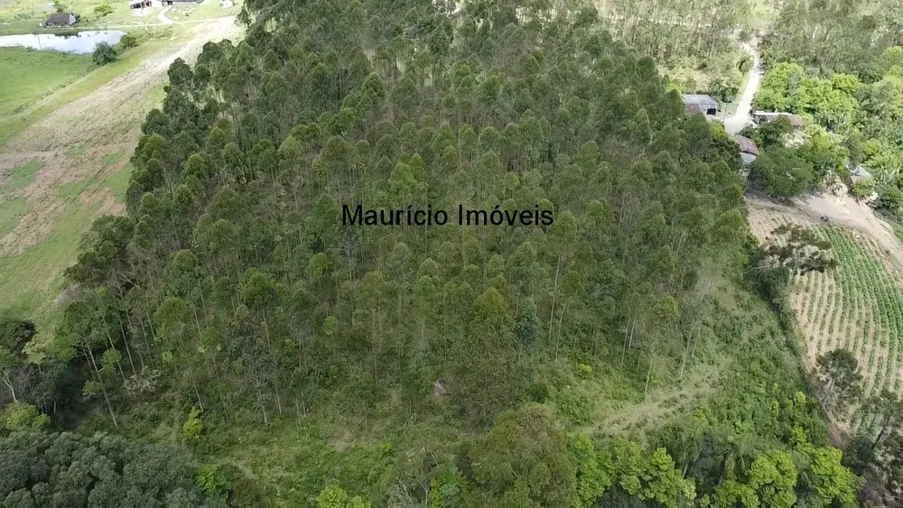 Sítio, 2 quartos, 8 hectares - Foto 8