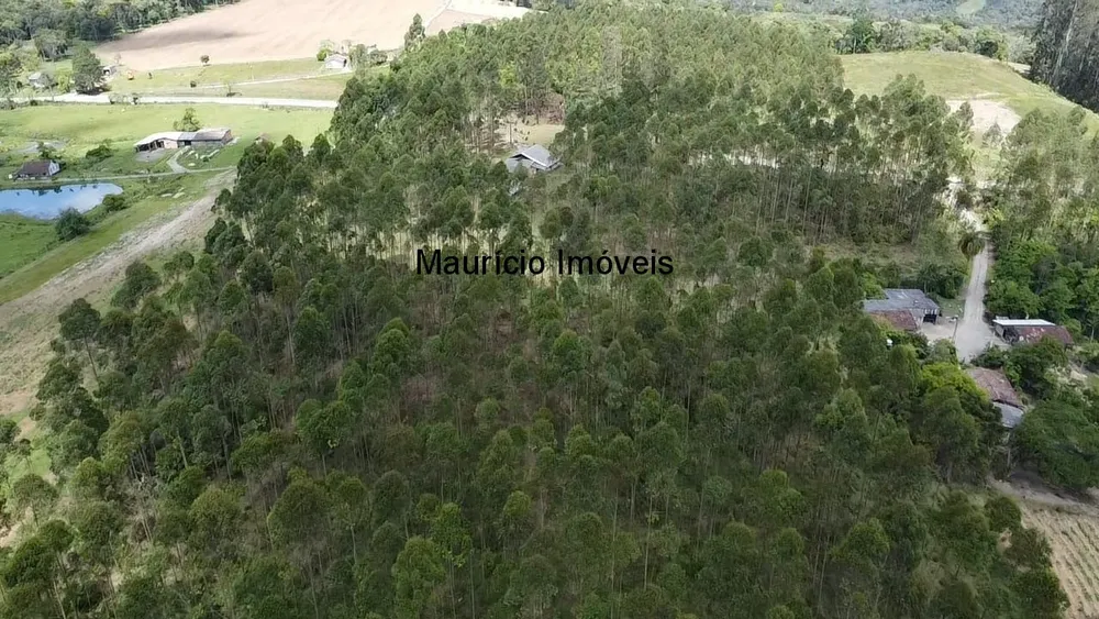 Sítio, 2 quartos, 8 hectares - Foto 7