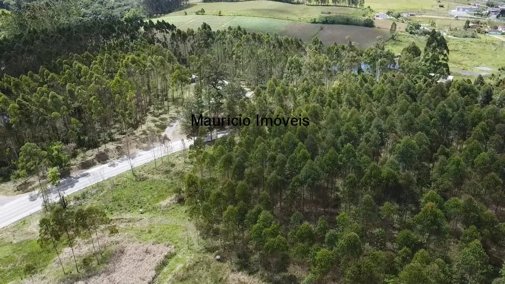 Sítio, 2 quartos, 8 hectares - Foto 4
