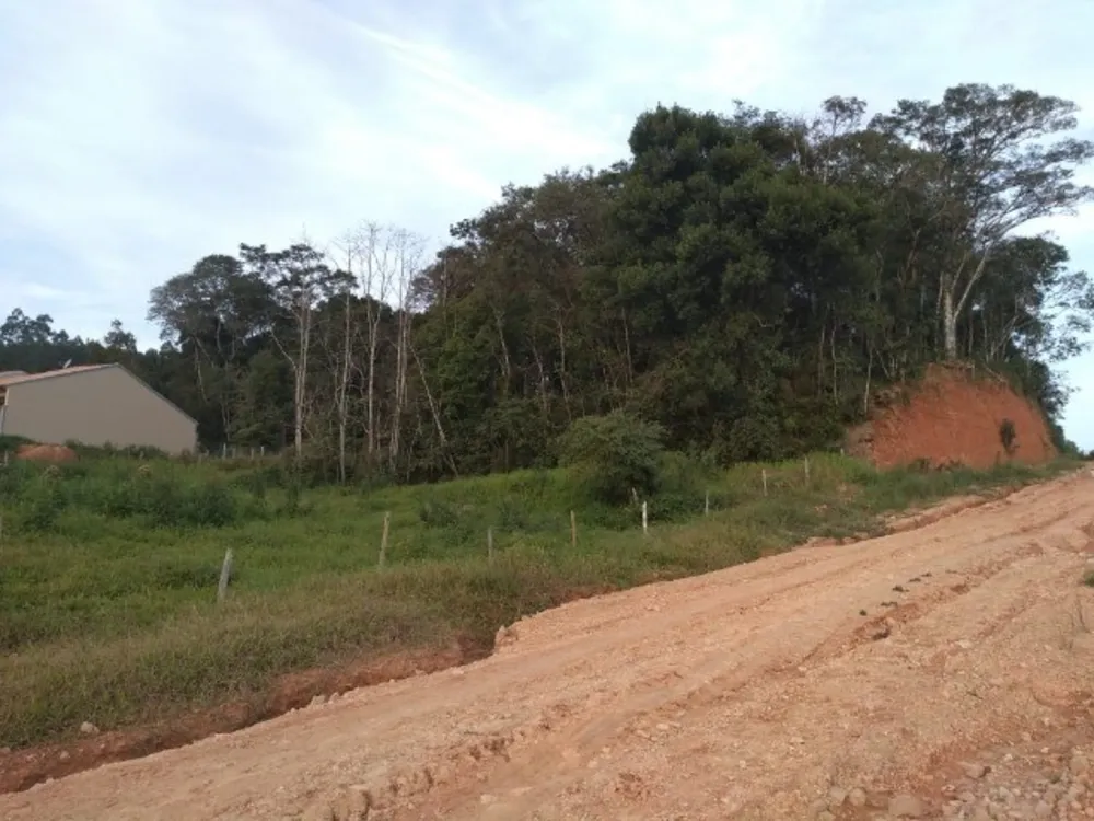 Terreno, 4416 m² - Foto 5