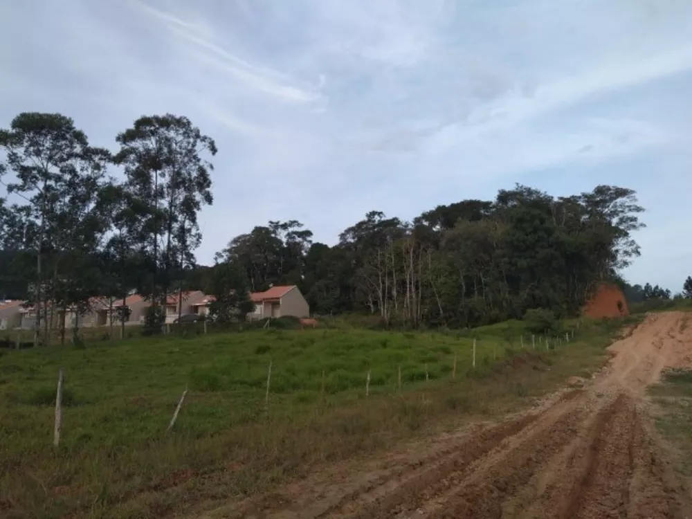 Terreno, 4416 m² - Foto 4