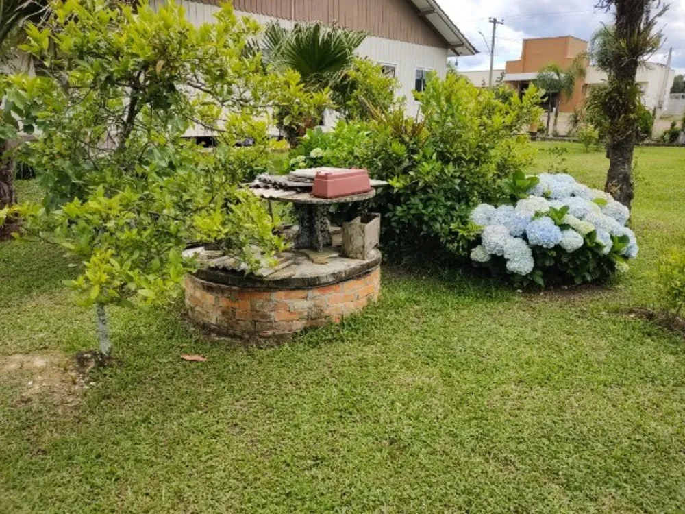 Sítio, 6 quartos, 2 hectares - Foto 4