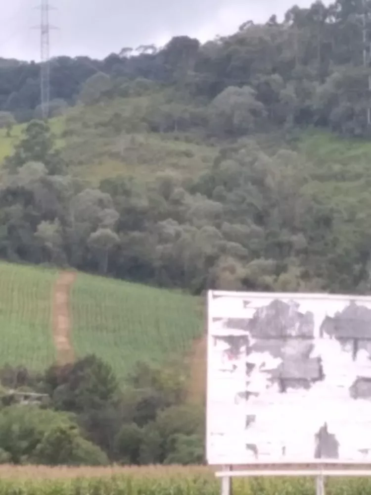 Terreno, 3 hectares - Foto 3