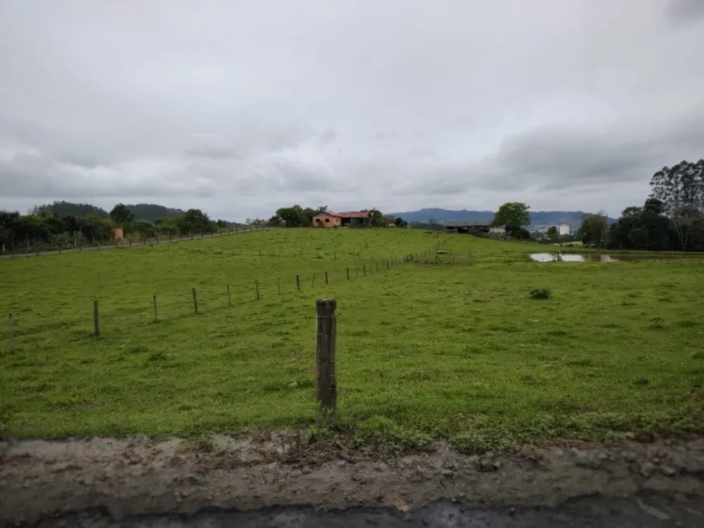 Chácara, 5 quartos, 3 hectares - Foto 4
