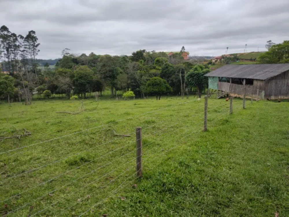 Chácara, 5 quartos, 3 hectares - Foto 10