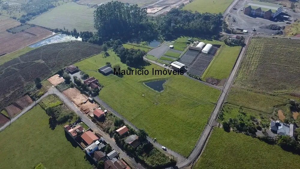 Casa, 5 quartos, 30000 m² - Foto 2