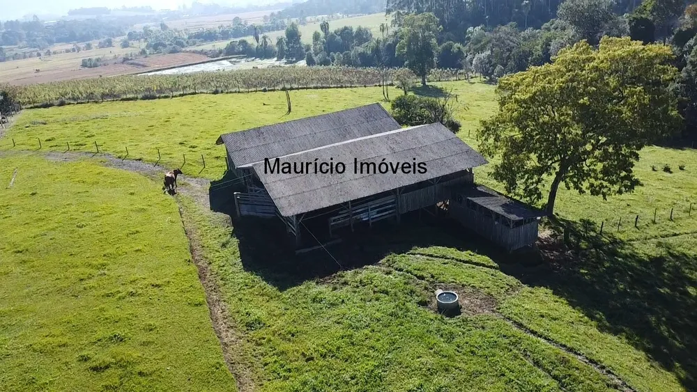 Casa, 5 quartos, 30000 m² - Foto 6