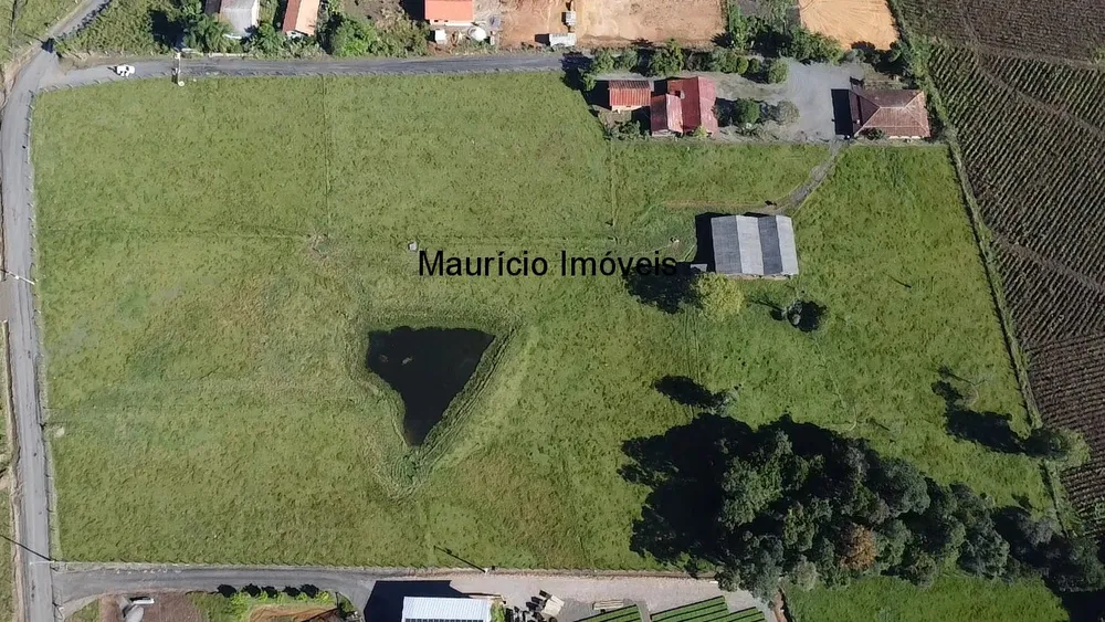 Casa, 5 quartos, 30000 m² - Foto 4