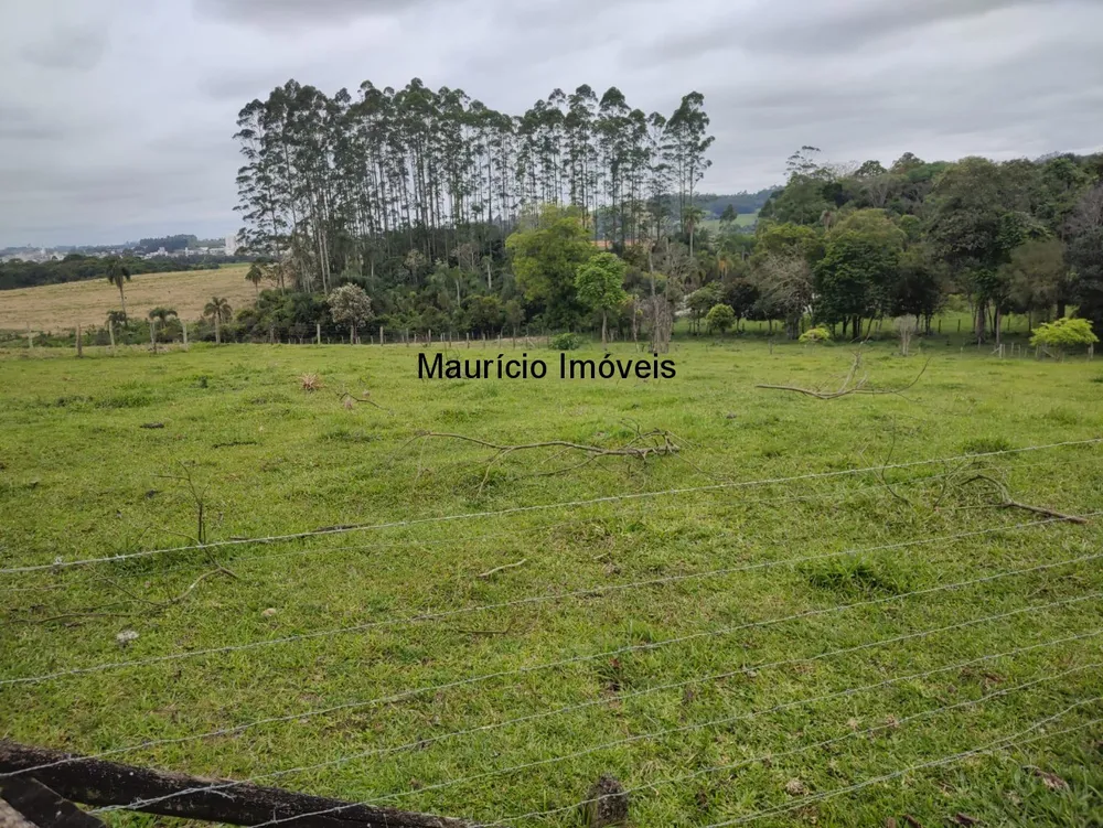 Casa, 5 quartos, 30000 m² - Foto 23