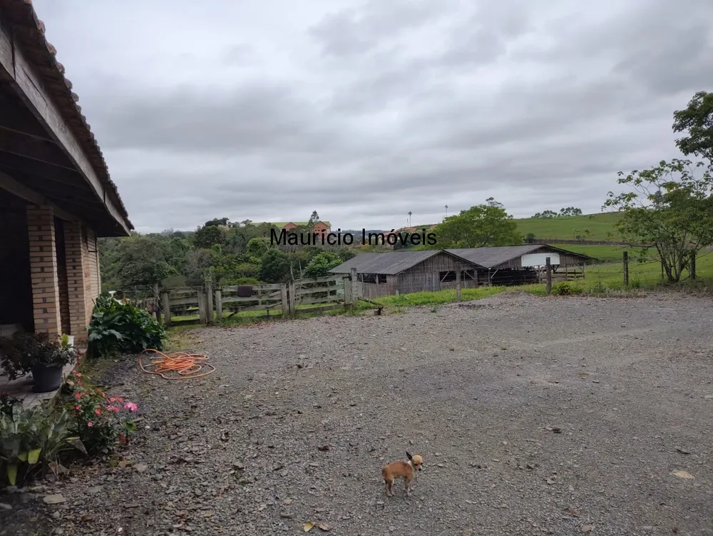Casa, 5 quartos, 30000 m² - Foto 24
