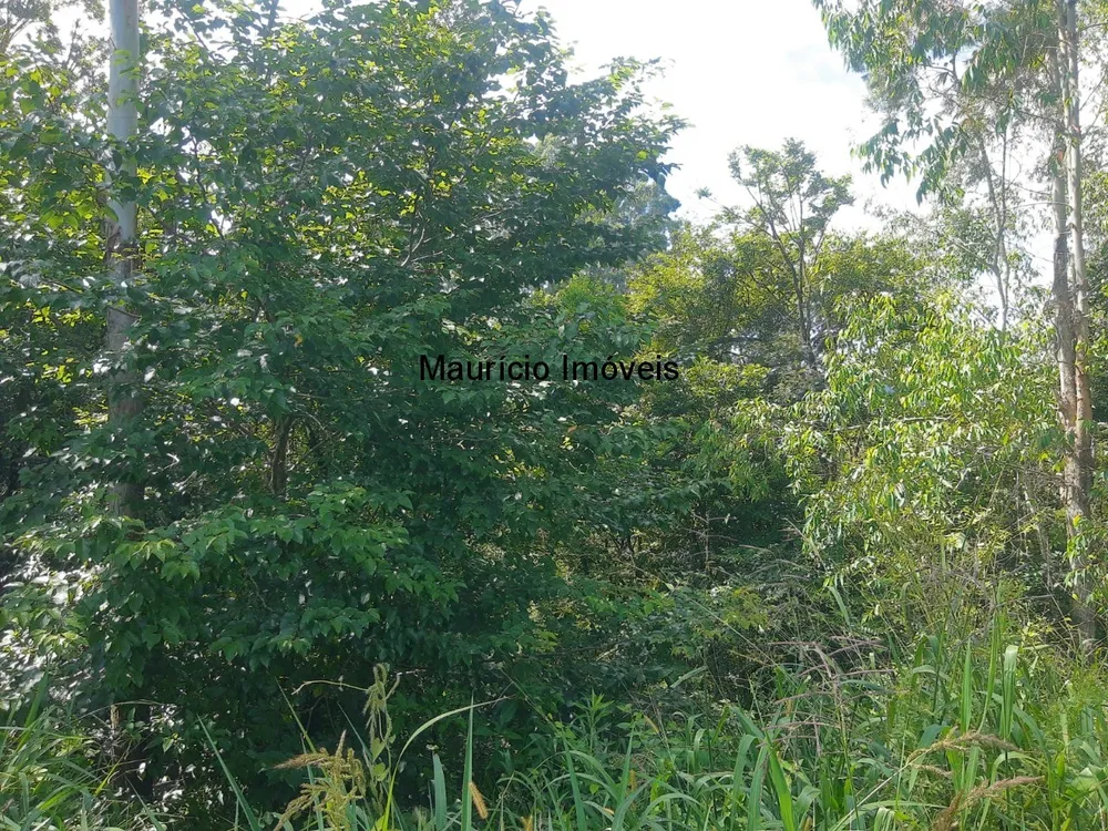 Terreno, 7 m² - Foto 6