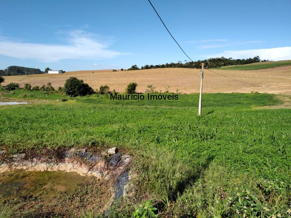 Sítio, 1 quarto, 2 hectares - Foto 8