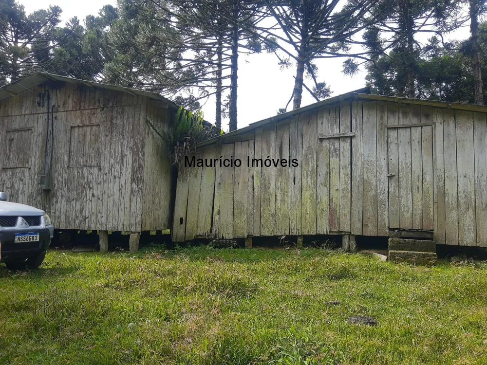 Sítio, 1 quarto, 23 m² - Foto 12