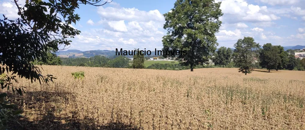 Terreno, 375735 m² - Foto 5