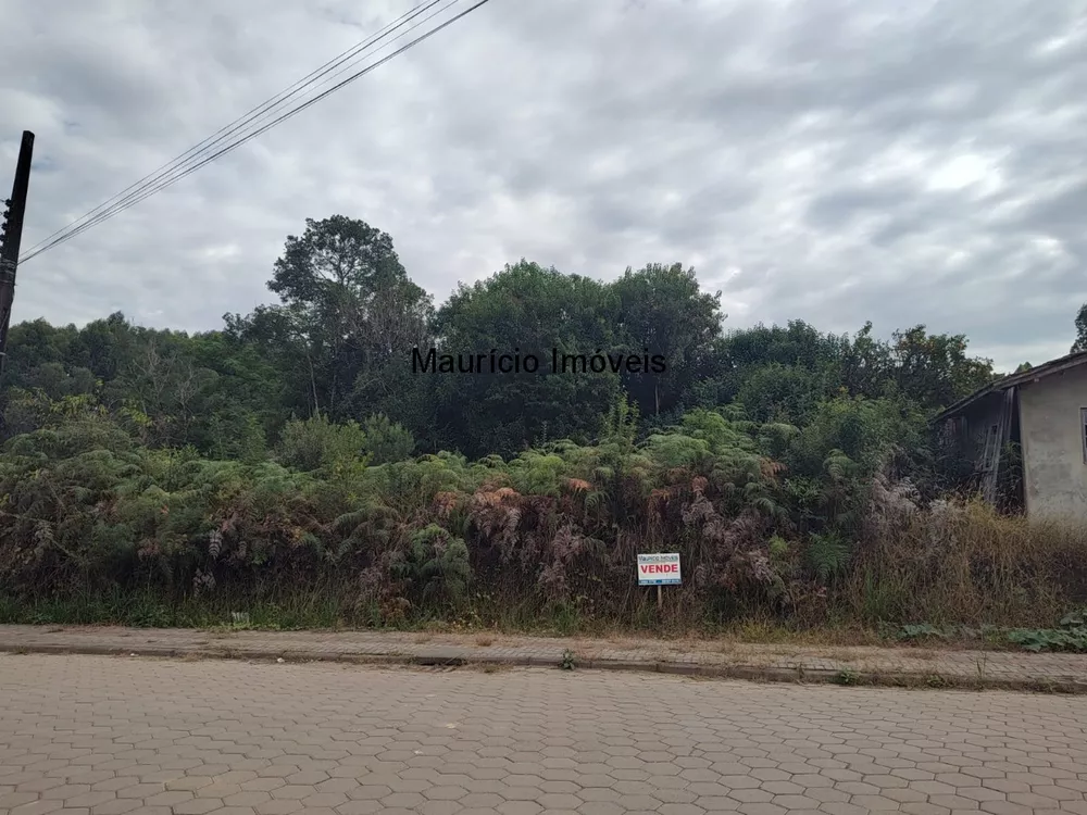 Terreno, 364 m² - Foto 3