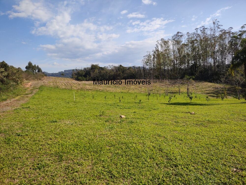 Terreno à venda, 30000m² - Foto 11