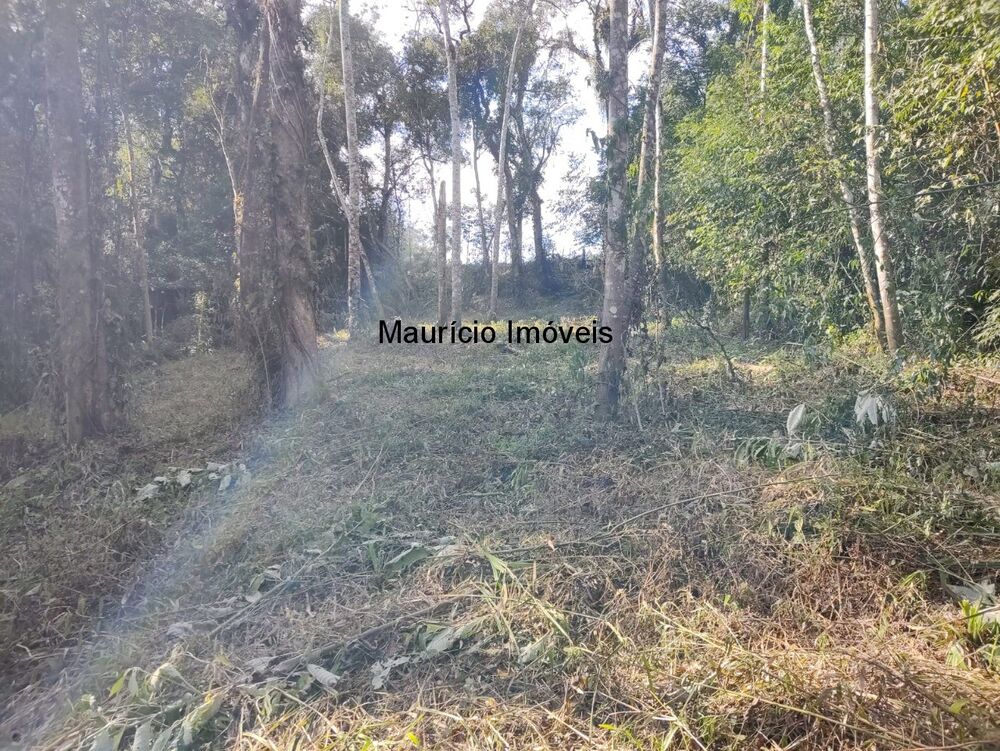 Terreno à venda, 30000m² - Foto 17
