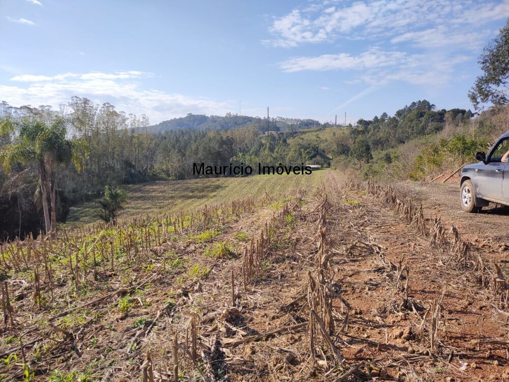 Terreno à venda, 30000m² - Foto 16