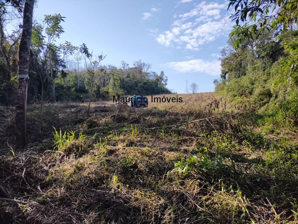Terreno à venda, 30000m² - Foto 15
