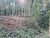 Terreno, 30000 m² - Foto 5