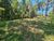 Terreno, 30000 m² - Foto 7