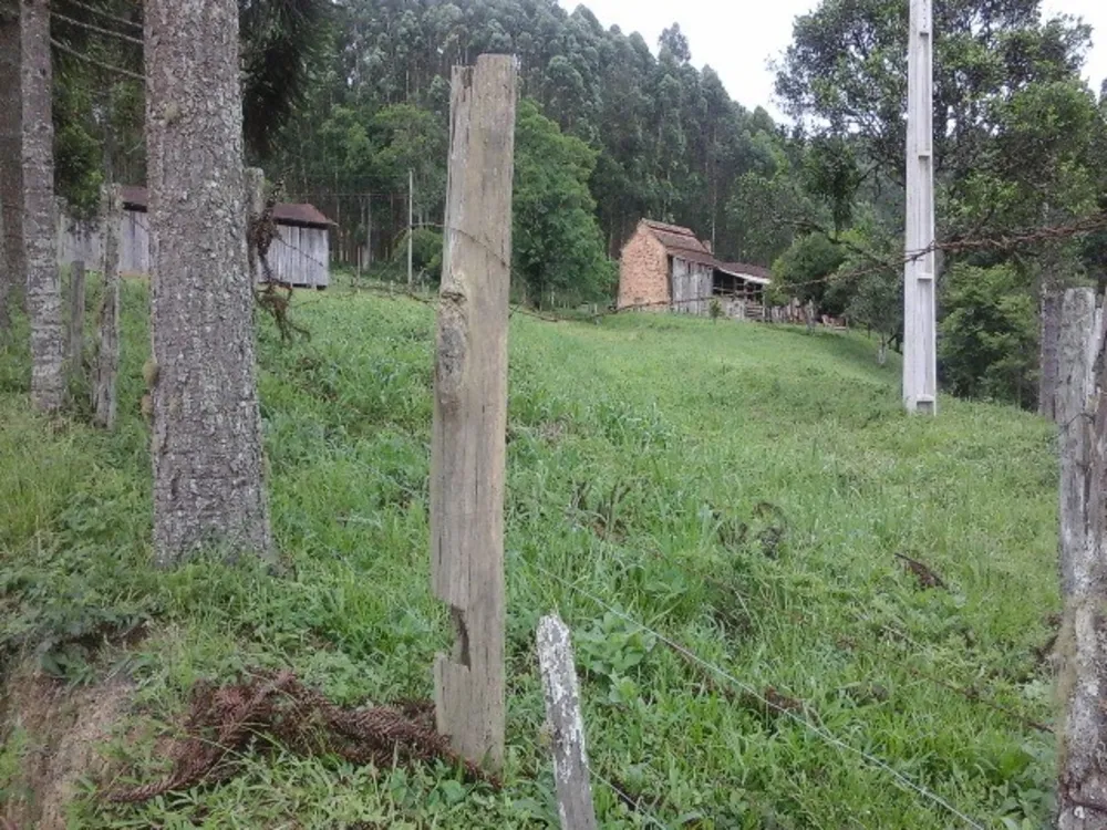 Sítio, 2 quartos, 10 m² - Foto 5