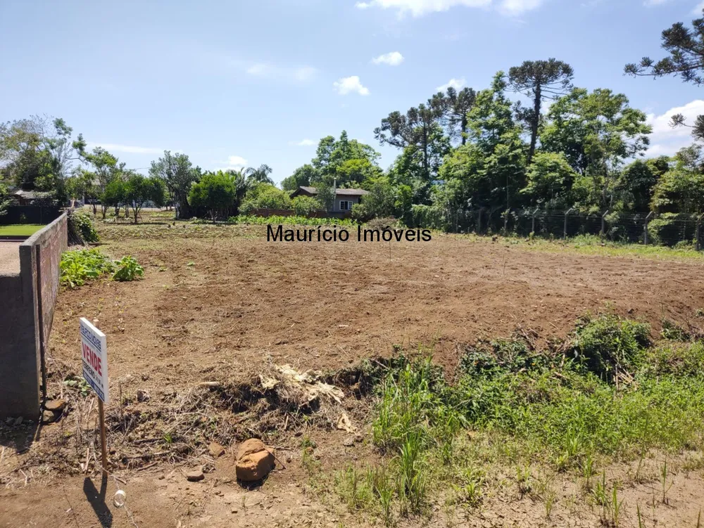 Terreno, 2030 m² - Foto 5