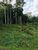 Terreno, 1033 m² - Foto 3