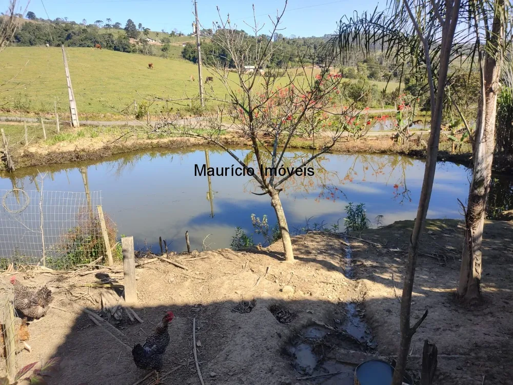 Chácara, 3 quartos, 2 hectares - Foto 8
