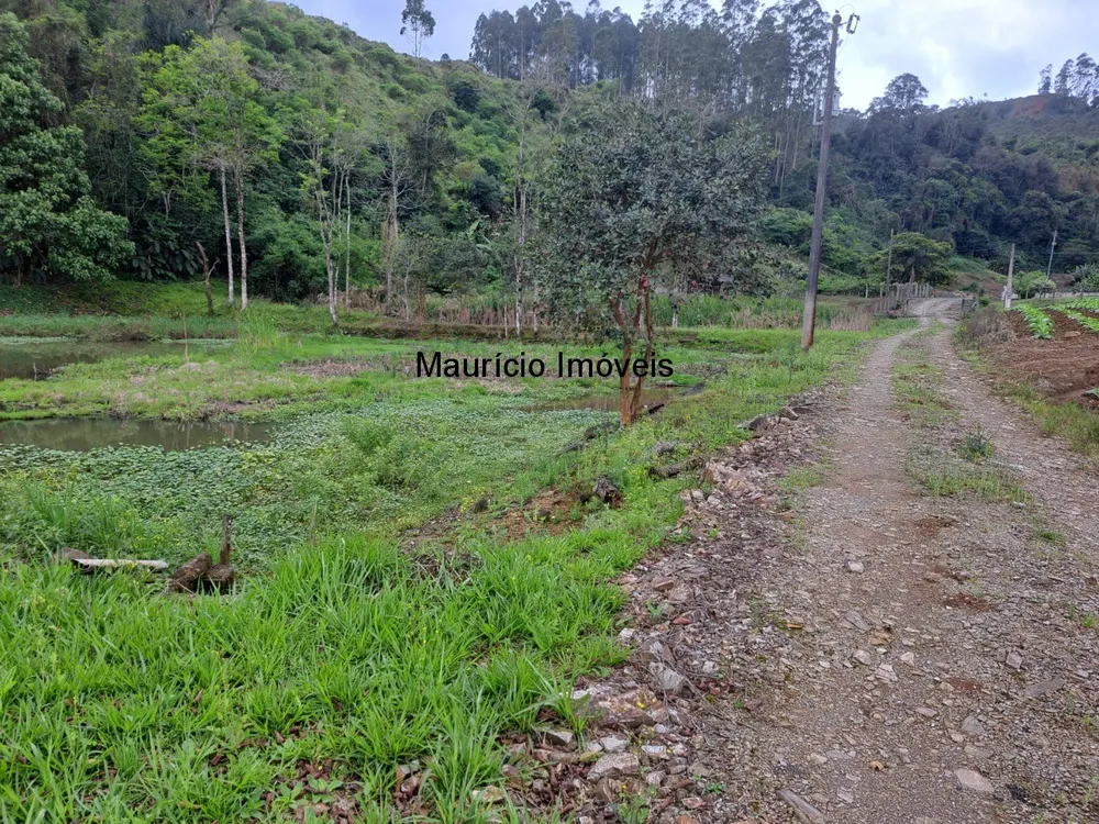 Sítio, 2 quartos, 8 hectares - Foto 7