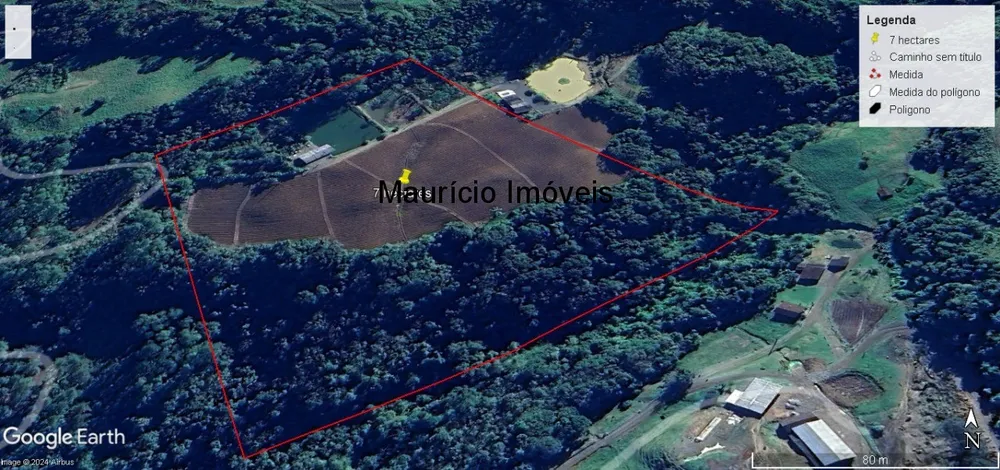 Sítio, 2 quartos, 8 hectares - Foto 1