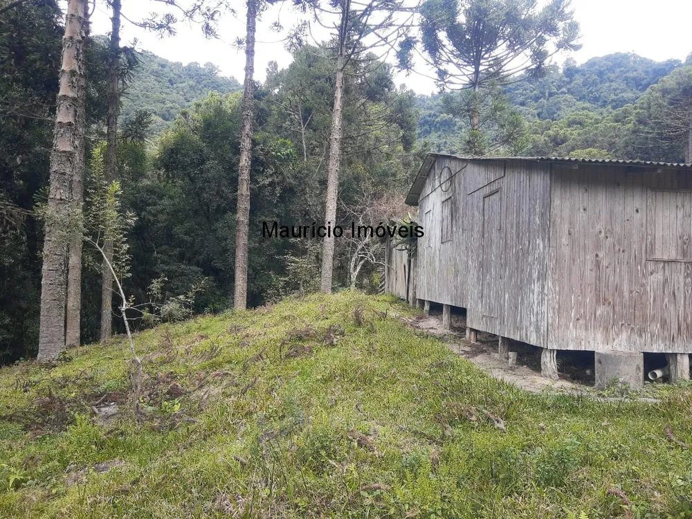 Sítio, 1 quarto, 23 m² - Foto 6