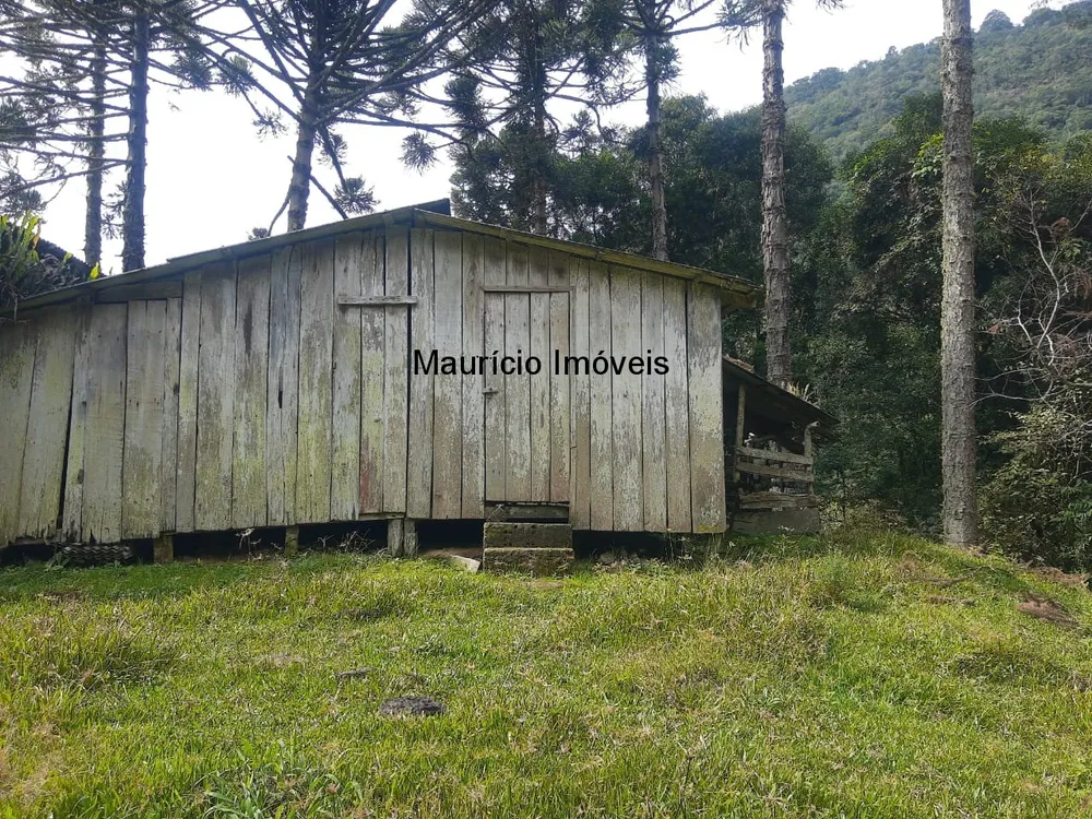 Sítio, 1 quarto, 23 m² - Foto 7