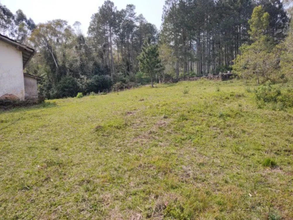 Chácara, 1 quarto, 5000 m² - Foto 5