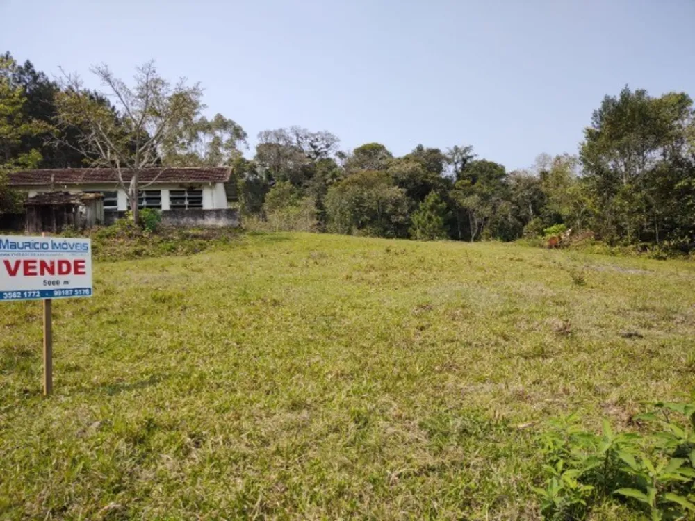 Chácara, 1 quarto, 5000 m² - Foto 1