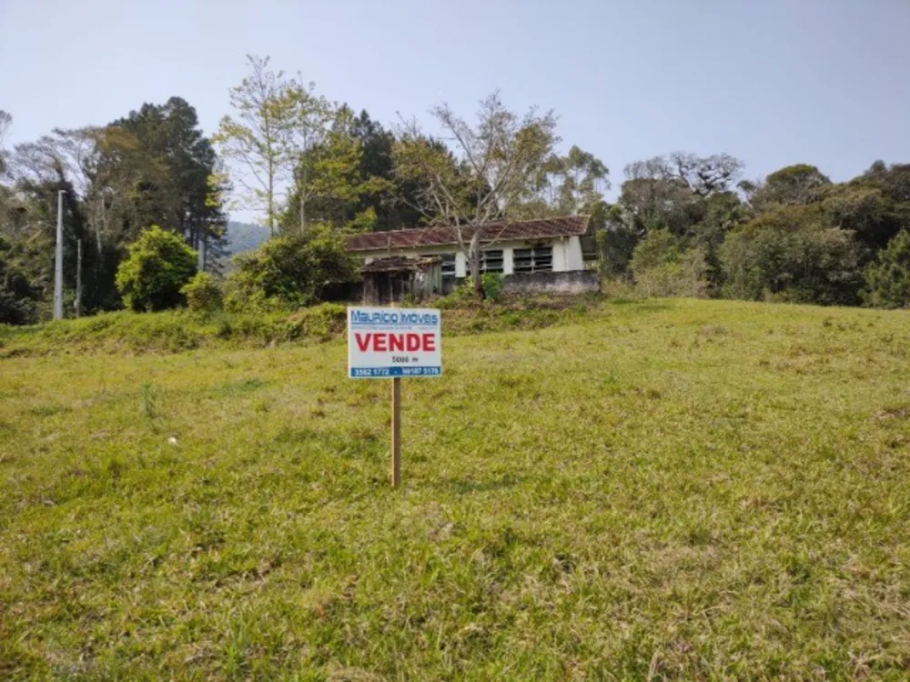 Chácara, 1 quarto, 5000 m² - Foto 3