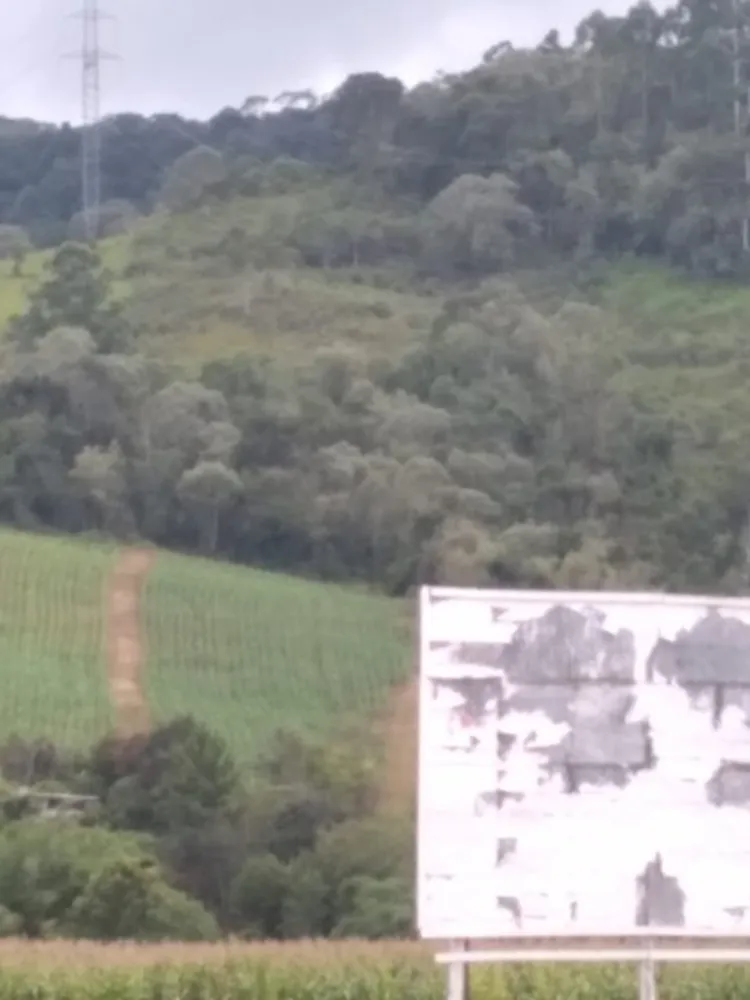 Terreno, 3 hectares - Foto 5