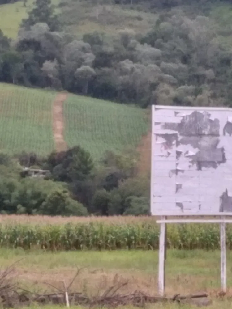 Terreno, 3 hectares - Foto 6