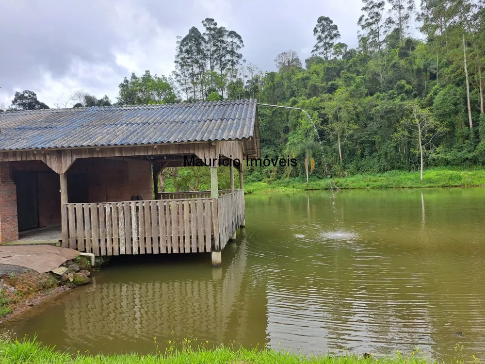 Sítio, 2 quartos, 8 hectares - Foto 10