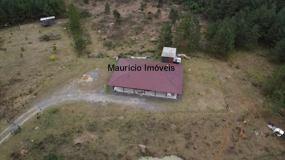 Sítio, 4 quartos, 5 m² - Foto 4