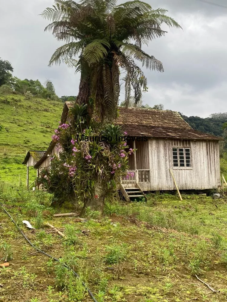 Sítio, 5 quartos, 6 m² - Foto 4