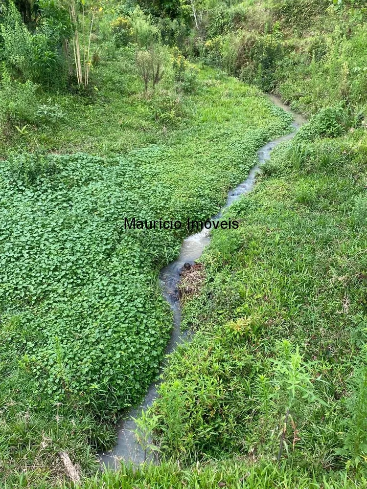 Sítio, 5 quartos, 6 m² - Foto 1