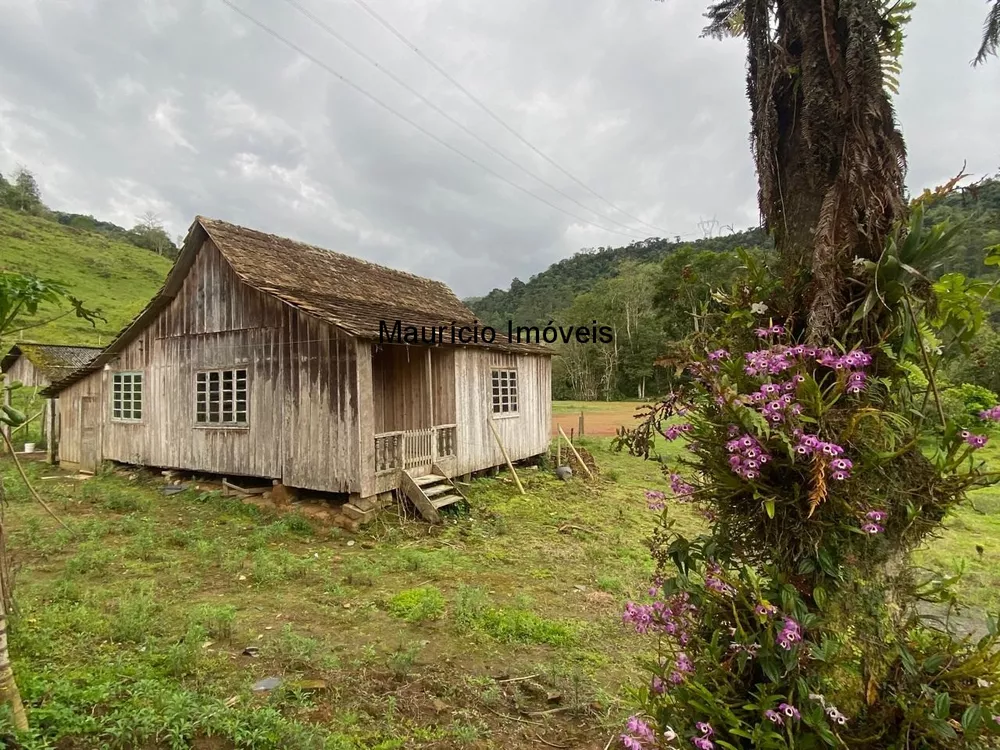 Sítio, 5 quartos, 6 m² - Foto 2