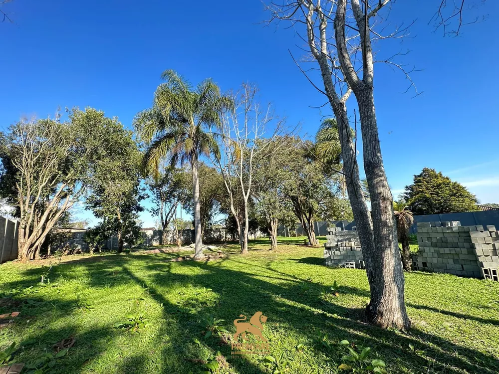 Sítio, 2000 m² - Foto 5