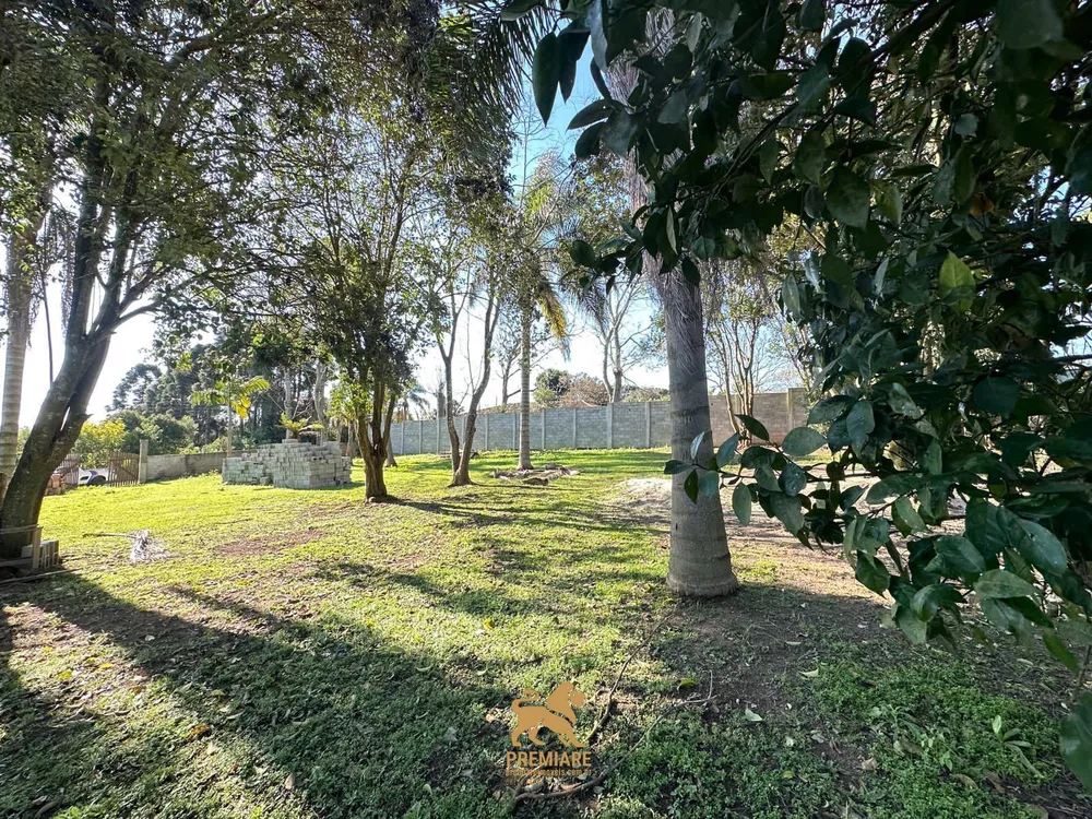 Sítio, 2000 m² - Foto 6