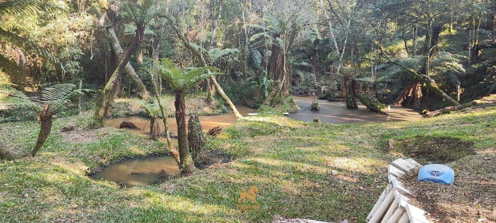 Chácara, 3 quartos, 1 hectares - Foto 2