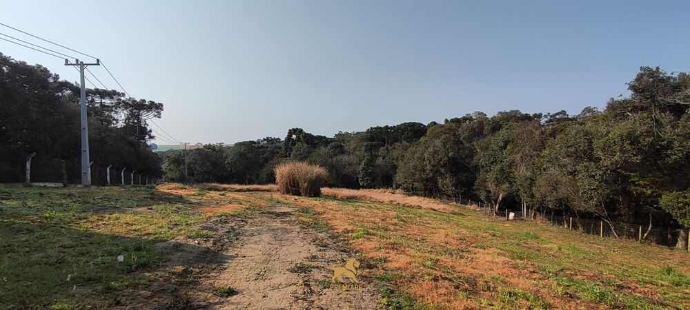 Chácara, 3 quartos, 1 hectares - Foto 1